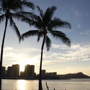 Meet your Posher, Russell